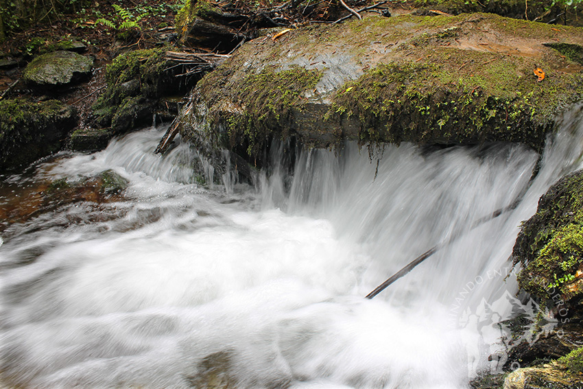 Río Aceiteiro (San Sadurniño)