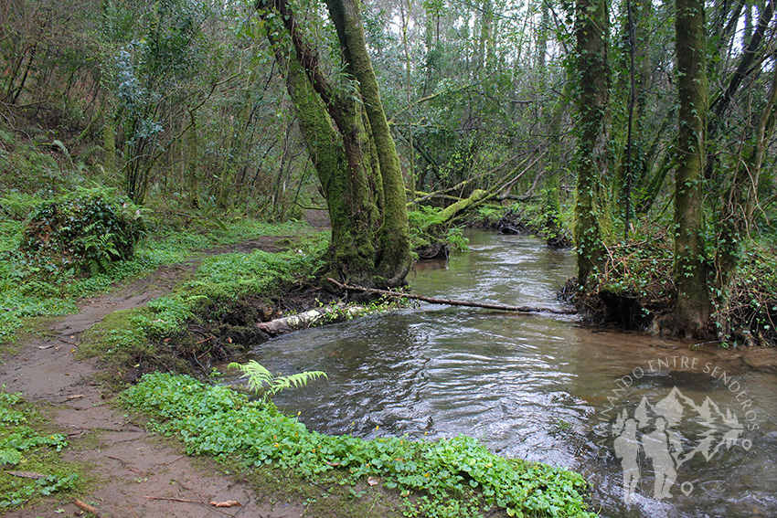 Río Aceiteiro (San Sadurniño)