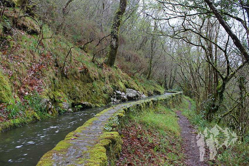 Ruta por el canal de agua