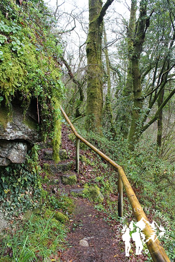 Escaleras cerca del canal de agua