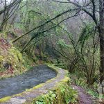 Ruta por el canal de agua