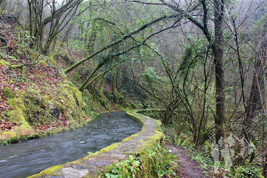 Ruta por el canal de agua