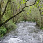 Río Carracedo