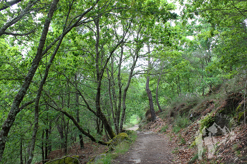 Sendero hacia a la fervenza
