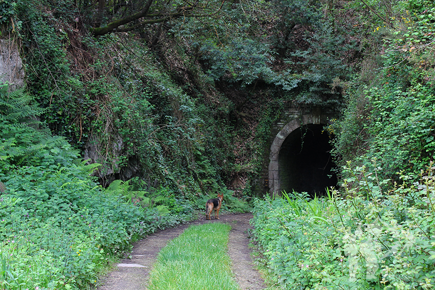 Túnel de San Tirso (90 metros)