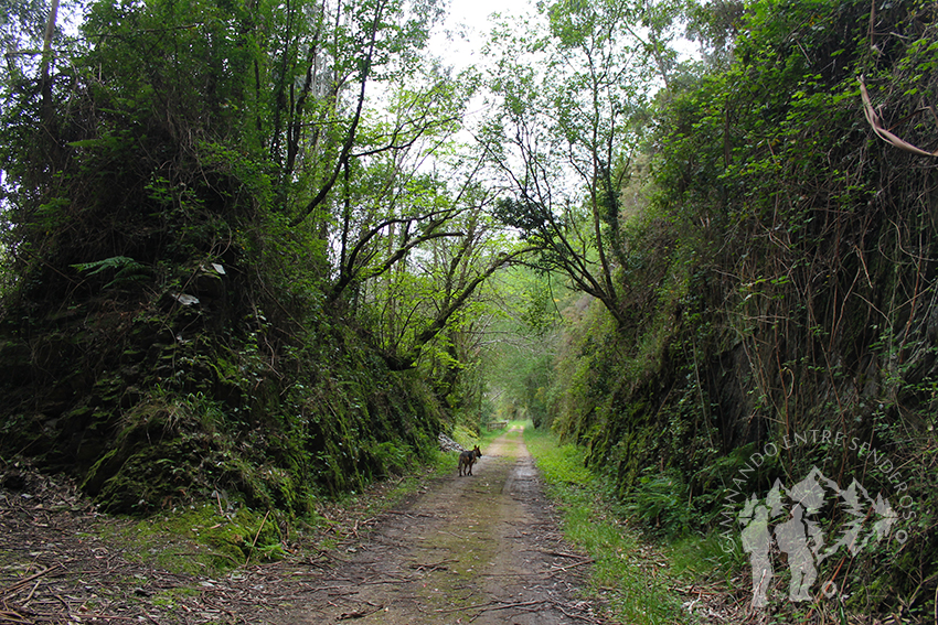 Ruta del Ferrocarril (San Tirso de Abres)