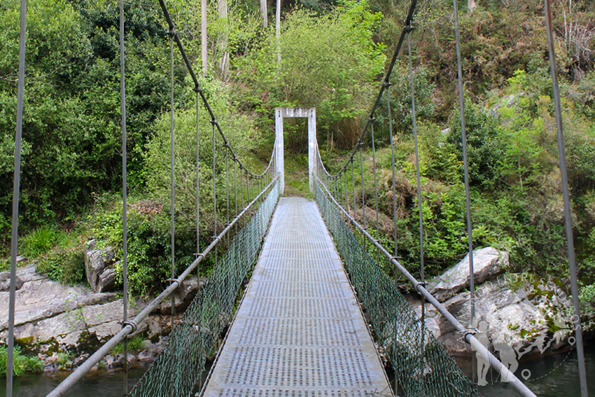 Puente colgante