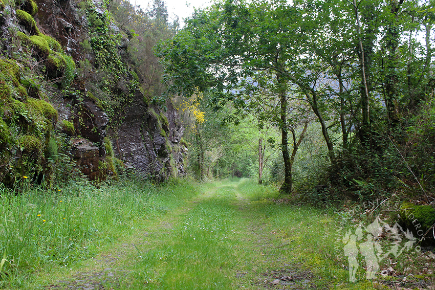 Ruta del Ferrocarril (San Tirso de Abres)