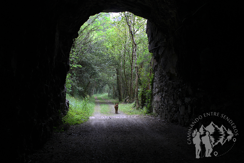 Túnel do Carriceiro (130 metros)