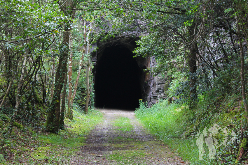 Túnel do Carriceiro (130 metros)