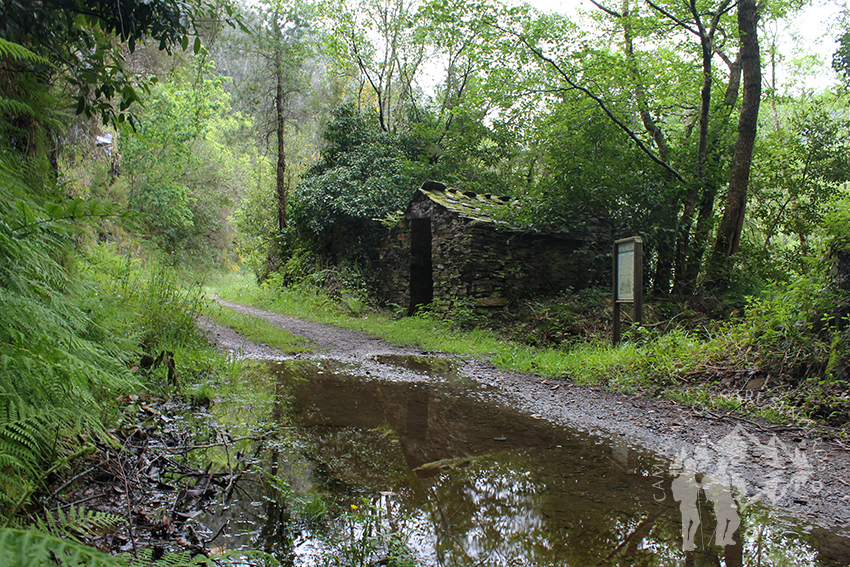 Construcción para albergar el carbón