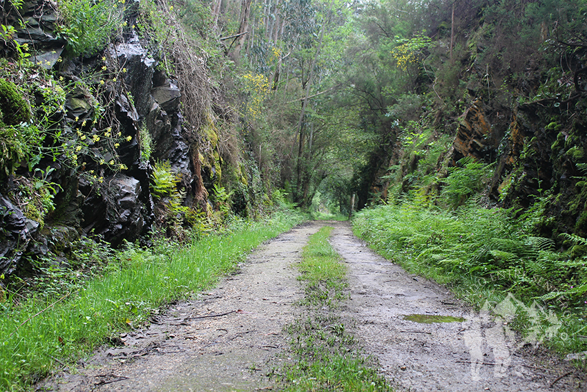 Ruta del Ferrocarril (San Tirso de Abres)