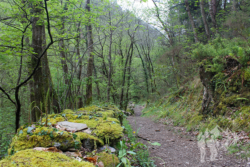 Camino cascada del arroyo de la Salgueira