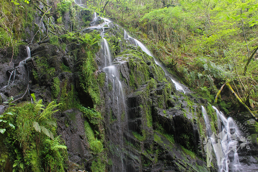 Cascada del arroyo de la Salgueira