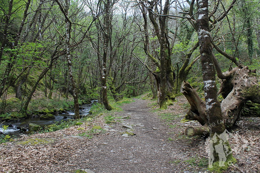 Valle del Desterrado