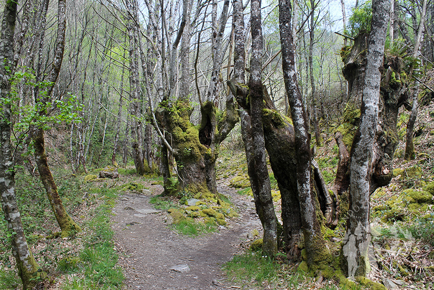 Valle del Desterrado