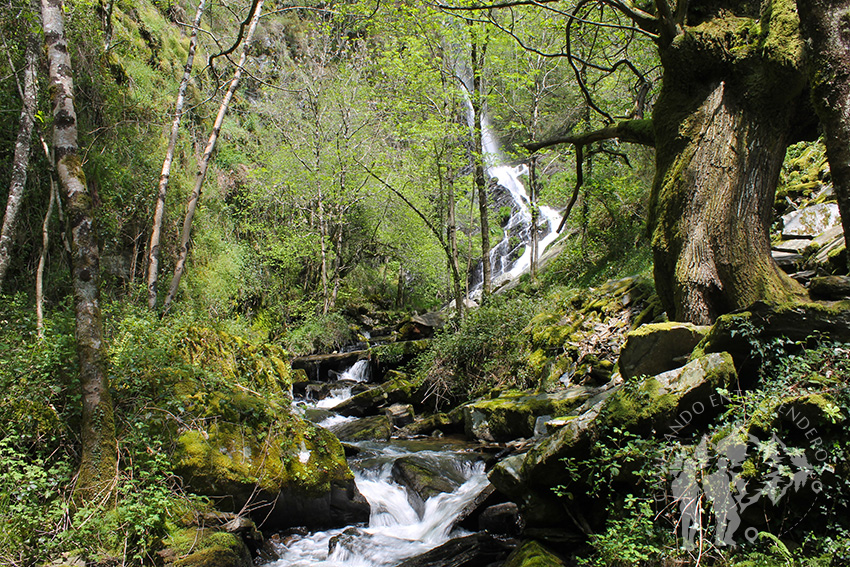 Catarata Seimeira (30m)