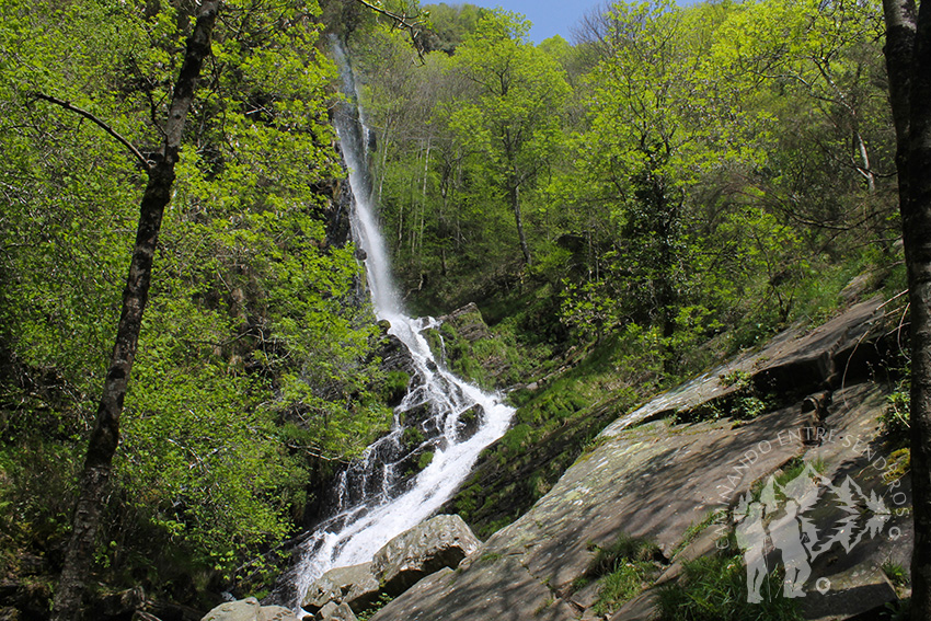 Catarata Seimeira (30m)