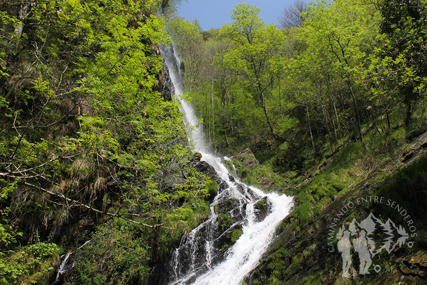 Catarata Seimeira (30m)