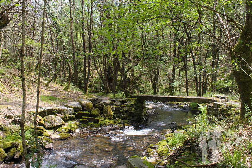 Puente Río Agüeira