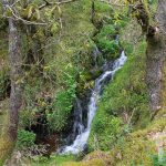 Arroyo de A Pasadia