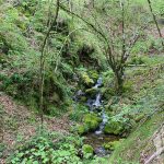 Arroyo de A Pasadia