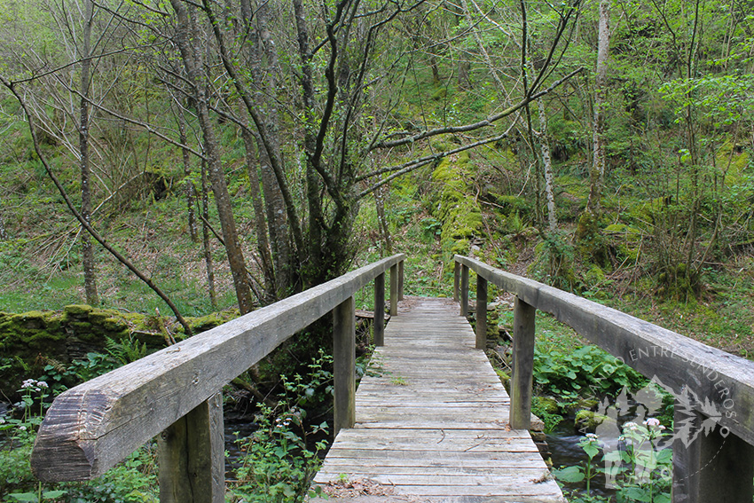 Puente de madera