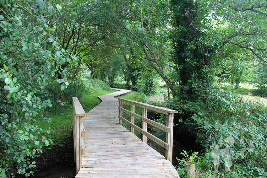 Pasarela Rego dos Muiños