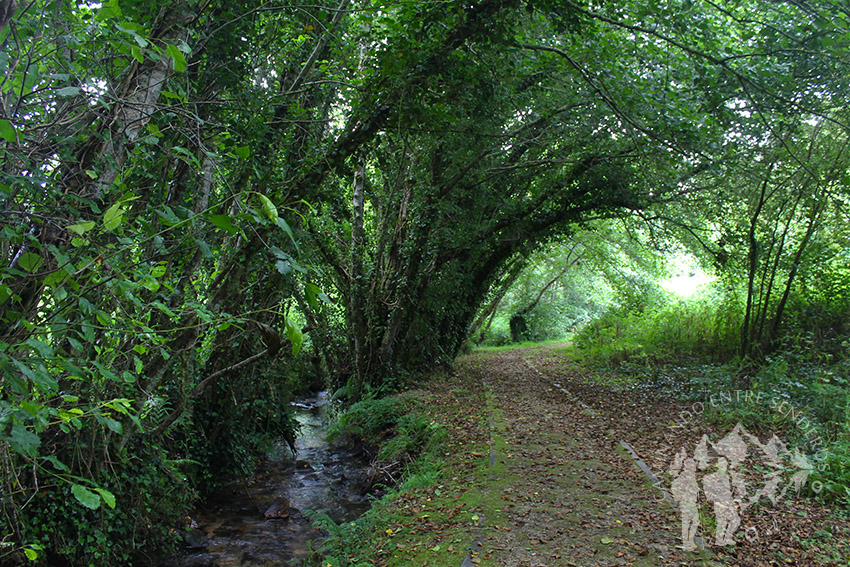 Ruta do Rego dos Muiños