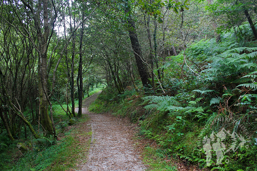 Ruta do Rego dos Muiños