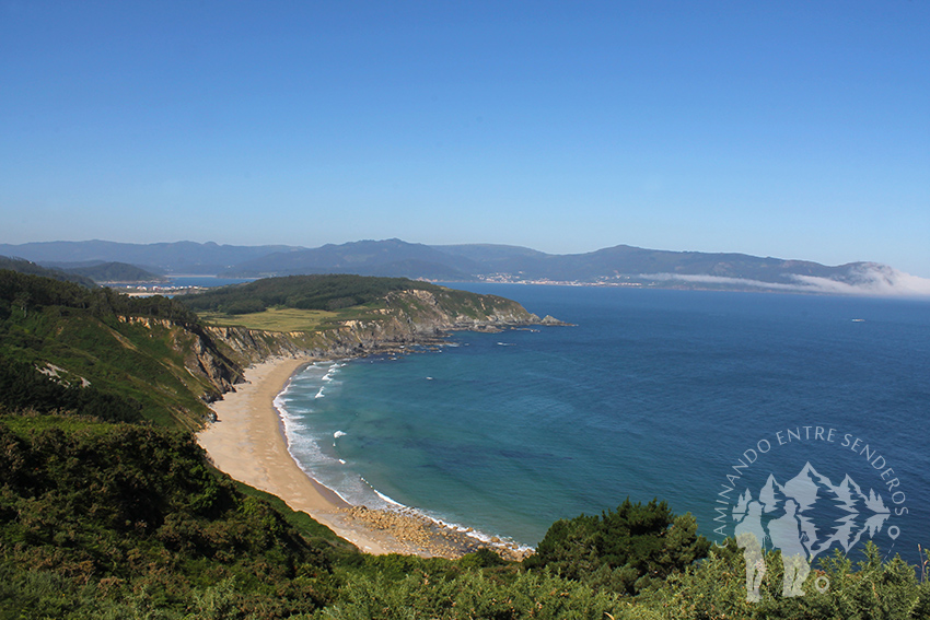 Playa O Carro