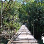 Puente Colgante Soutomaior