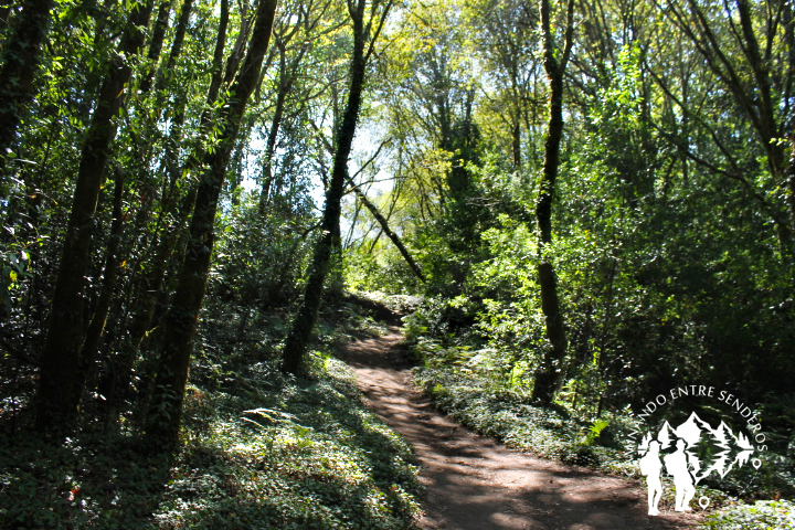 Orillas del Río Verdugo