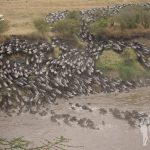 Cruce del río Mara
