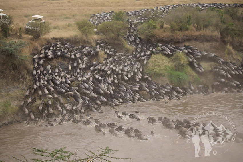 Cruce del río Mara