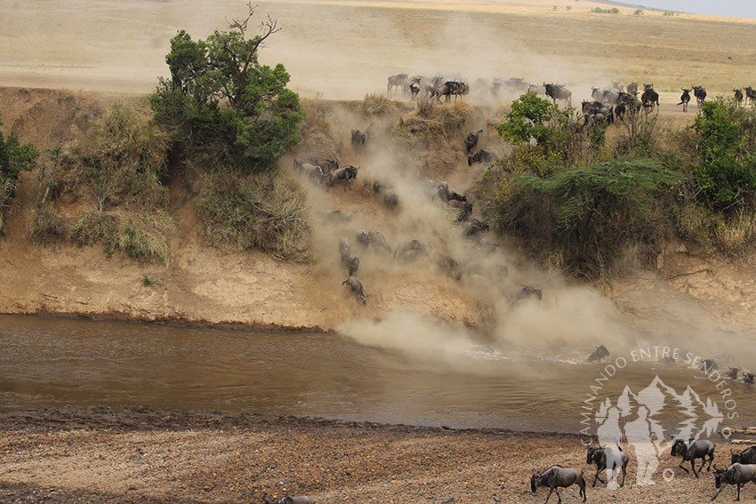 Cruce del río Mara