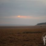 Atardecer Masai Mara