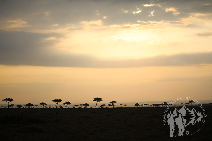 Atardecer Masai Mara