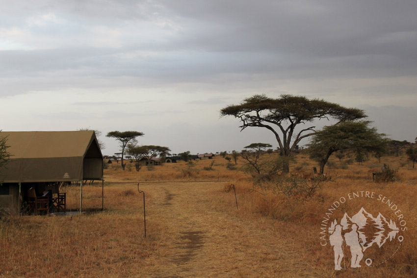 Pumzika Safari Camp (Serengueti)