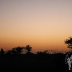 Anochecer Serengueti