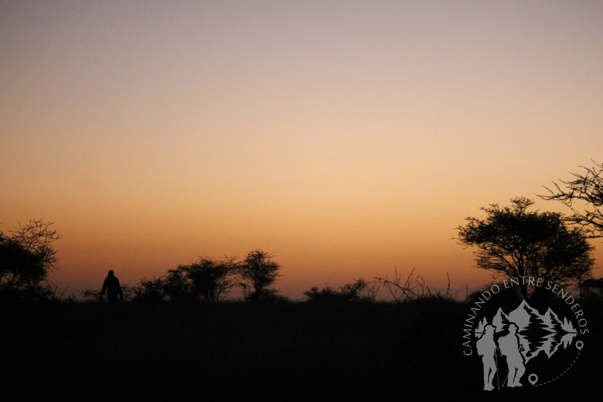 Anochecer Serengueti