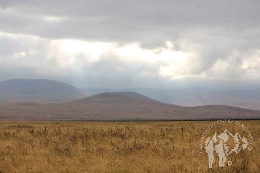 Ngorongoro (Tanzania)