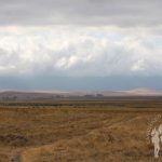 Ngorongoro (Tanzania)