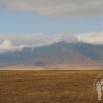 Ngorongoro (Tanzania)