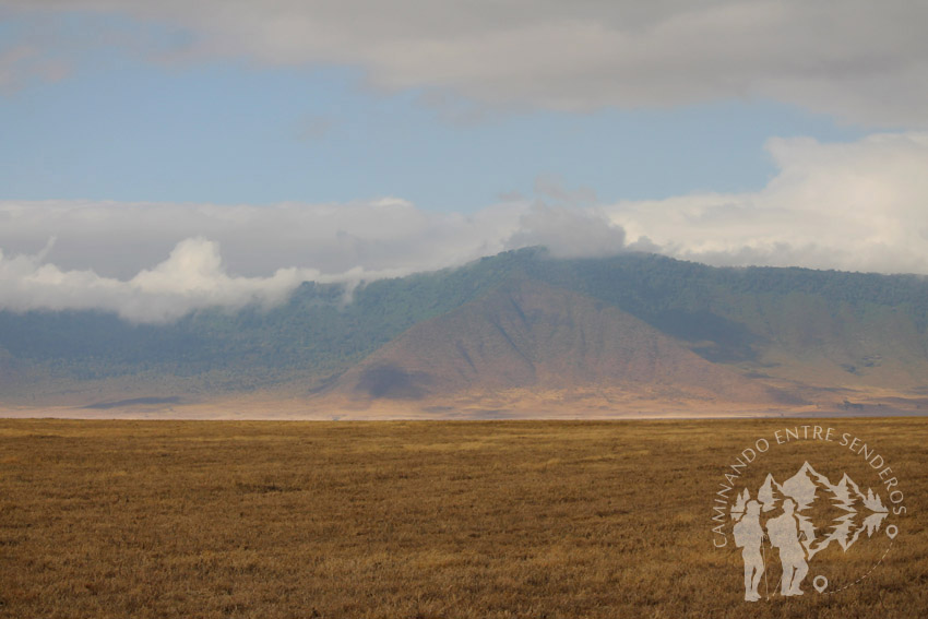 Ngorongoro (Tanzania)