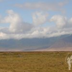 Ngorongoro (Tanzania)