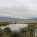 Ngorongoro (Tanzania)