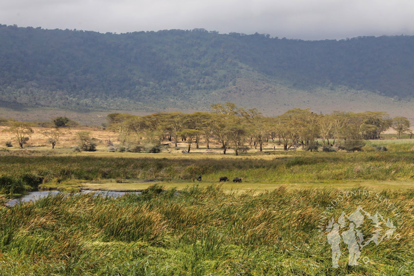 Valle Ngoitokitok