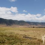 Ngorongoro (Tanzania)