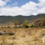 Ngorongoro (Tanzania)